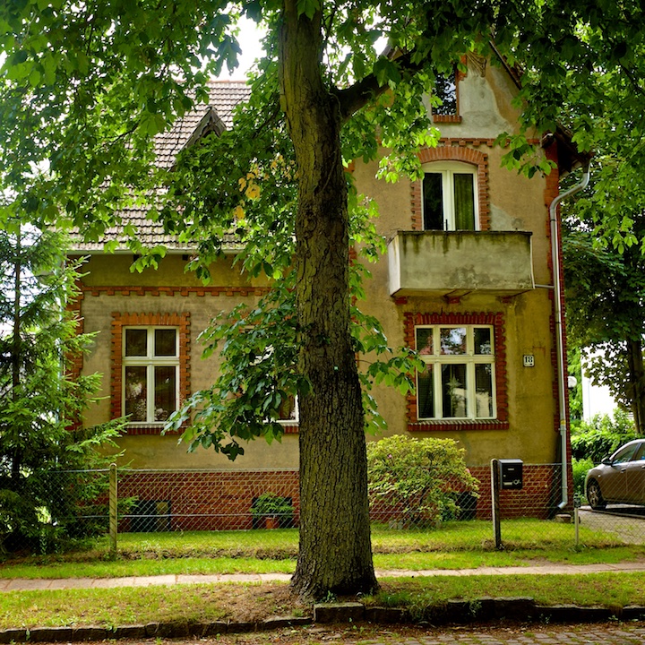 Entenschnabel