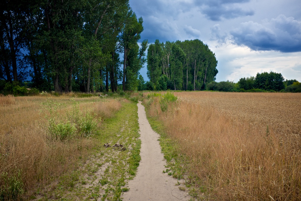Pankow