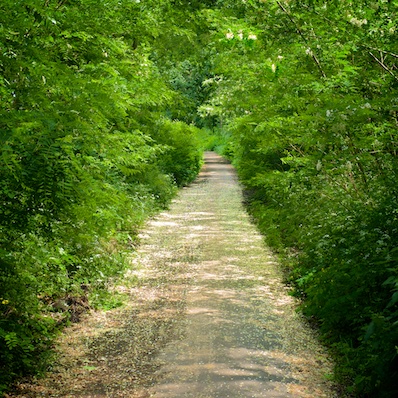 Berliner Mauerweg, Kuckusruf